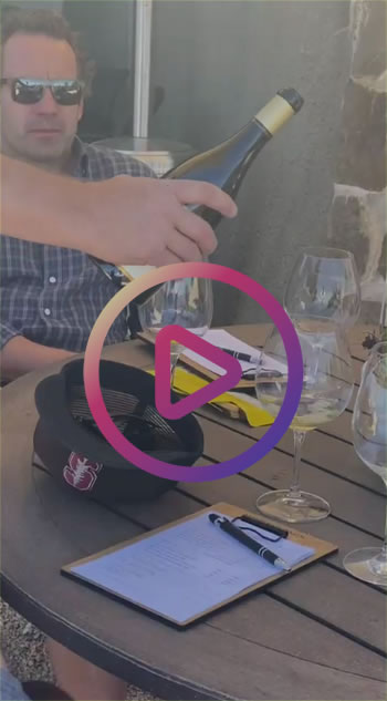 Discover the Ultimate Wine Tasting Experience in Napa, Sonama and Beyond