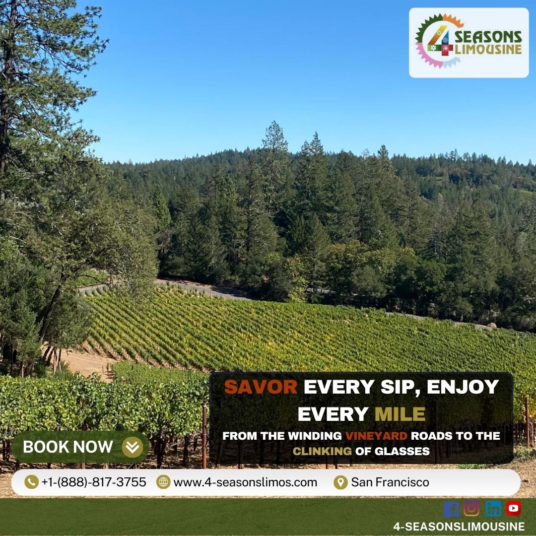 Savor Every Sip, Cherish Every Moment – Your Exquisite Wine Country Escape Begins Here