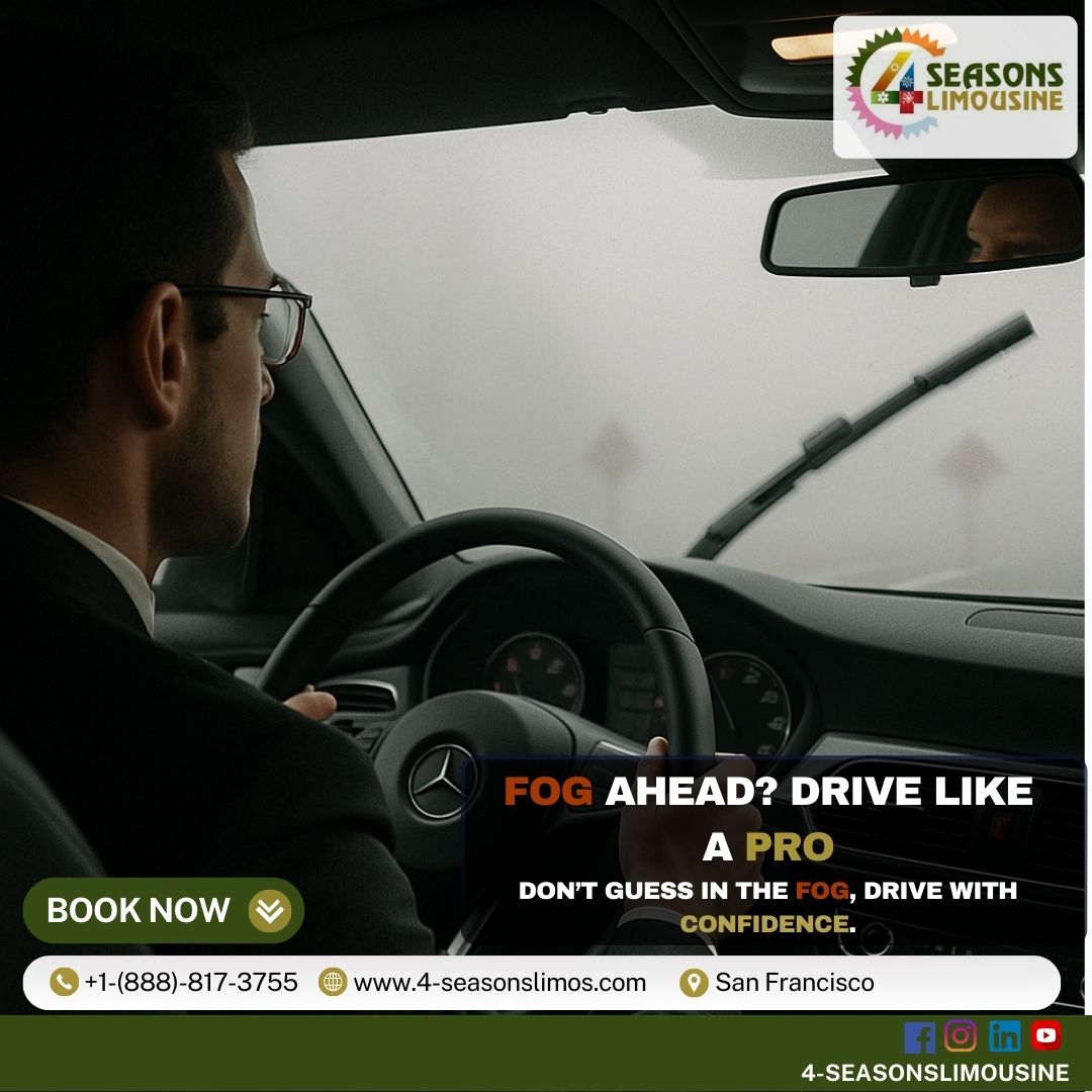 Fog on the Road? Navigate with Skill, Caution, and Confidence