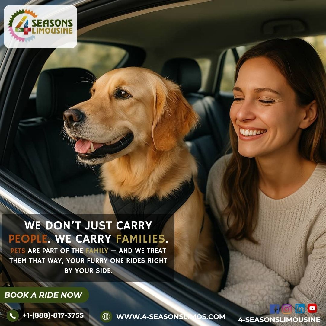 Luxury Rides, Loyal Companions: The Pet-Friendly Travel Experience You’ve Been Waiting For